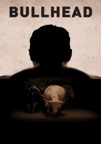 دانلود فیلم Bullhead 2011 بدون سانسور با زیرنویس فارسی چسبیده